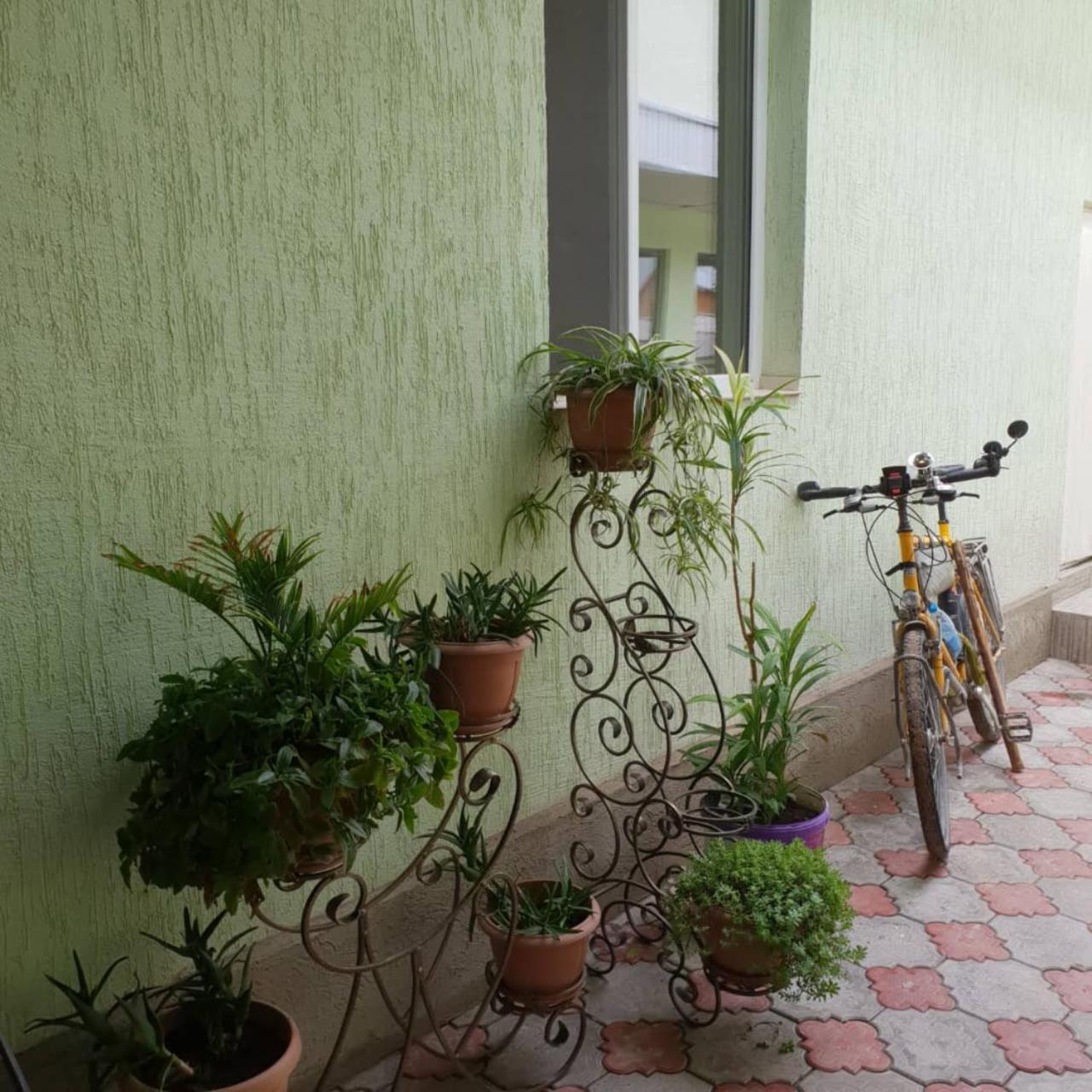 Datka Guest House Naryn Bagian luar foto